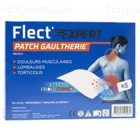 FLECT'EXPERT Patch dble act froid/chaud B/5