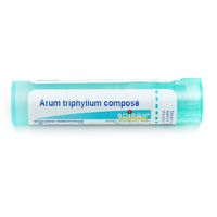 ARUM TRIPHYL COMP BOIR TB4G