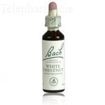 35 White Chestnut - Marronnier Blanc 20ml