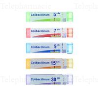 COLIBACILLINUM